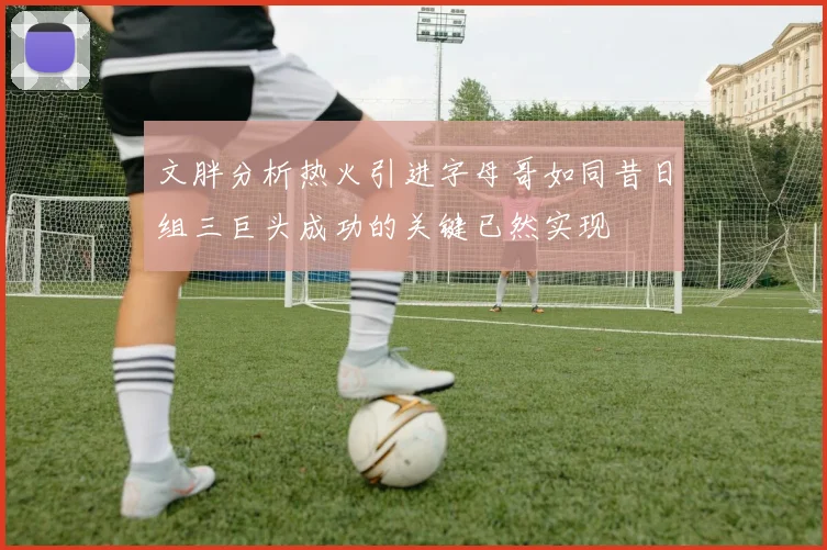 文胖分析热火引进字母哥如同昔日组三巨头成功的关键已然实现