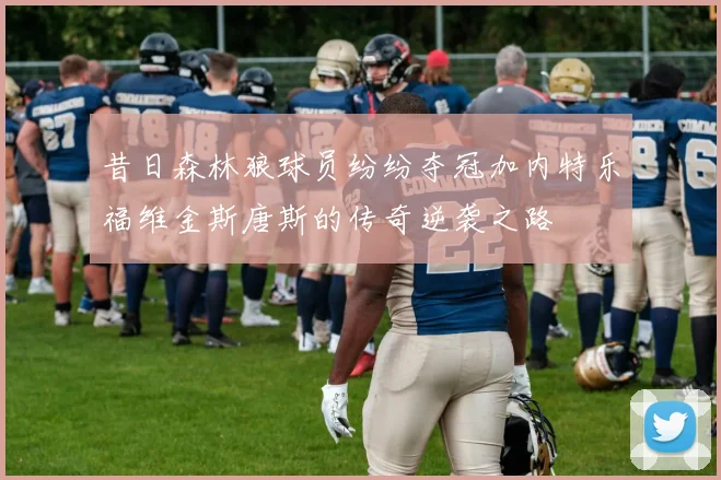 昔日森林狼球员纷纷夺冠加内特乐福维金斯唐斯的传奇逆袭之路