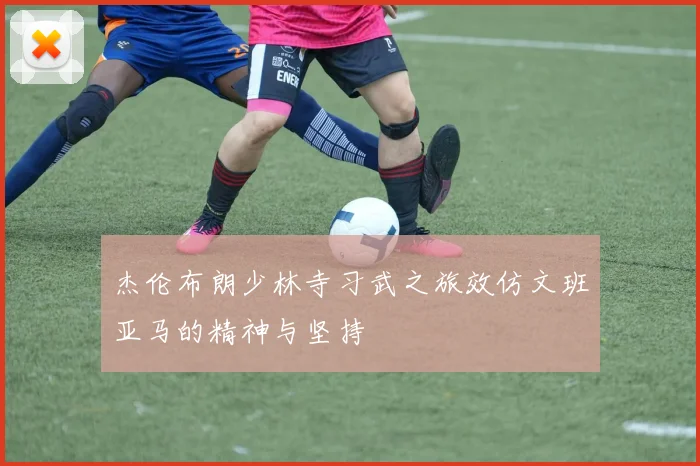 杰伦布朗少林寺习武之旅效仿文班亚马的精神与坚持